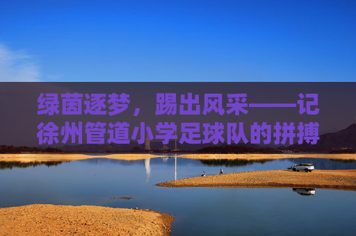 绿茵逐梦，踢出风采——记徐州管道小学足球队的拼搏之路