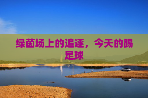 绿茵场上的追逐,今天的踢足球