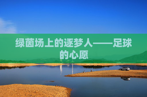 绿茵场上的逐梦人——足球的心愿