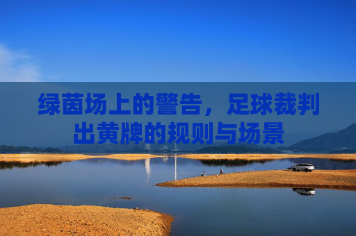 绿茵场上的警告,足球裁判出黄牌的规则与场景