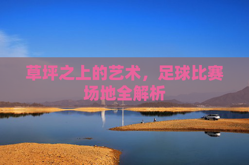 草坪之上的艺术,足球比赛场地全解析