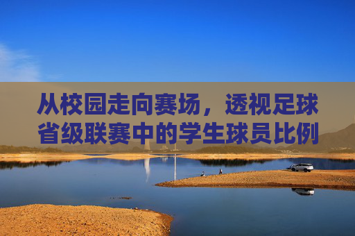 从校园走向赛场,透视足球省级联赛中的学生球员比例与未来