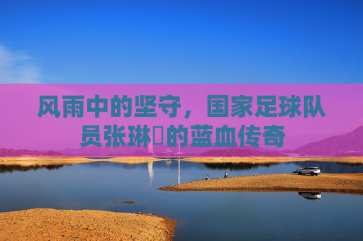 风雨中的坚守,国家足球队员张琳芃的蓝血传奇