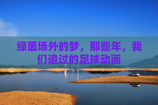 绿茵场外的梦,那些年,我们追过的足球动画