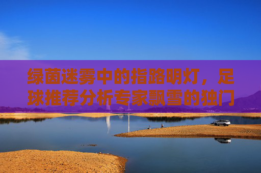 绿茵迷雾中的指路明灯，足球推荐分析专家飘雪的独门心法