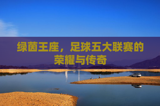 绿茵王座,足球五大联赛的荣耀与传奇