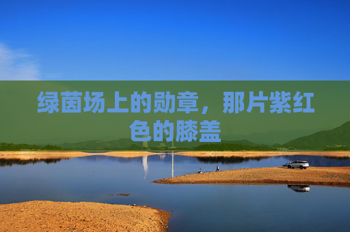 绿茵场上的勋章,那片紫红色的膝盖