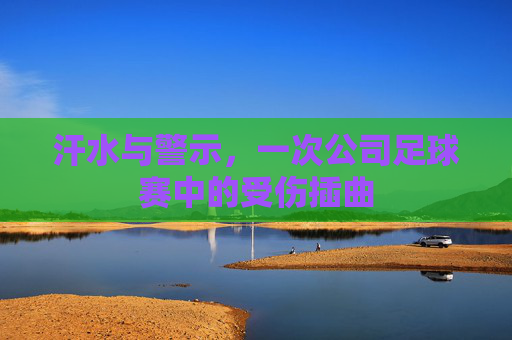汗水与警示,一次公司足球赛中的受伤插曲