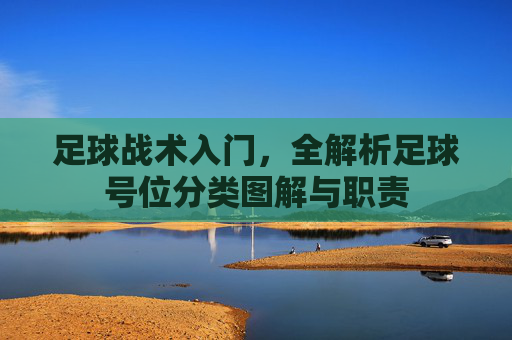 足球战术入门,全解析足球号位分类图解与职责