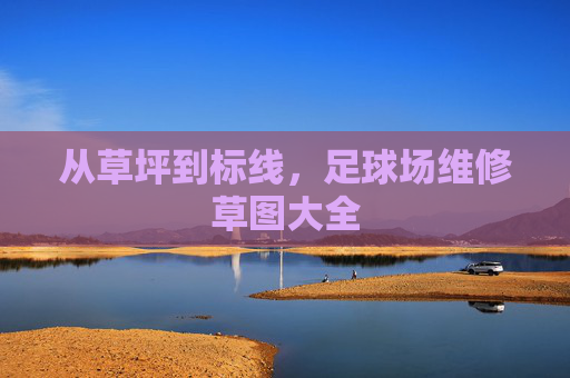 从草坪到标线，足球场维修草图大全