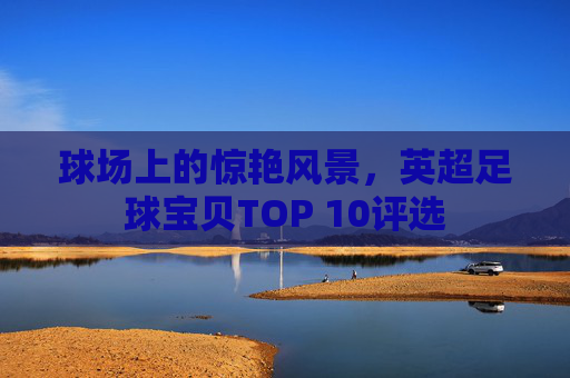 球场上的惊艳风景,英超足球宝贝TOP 10评选