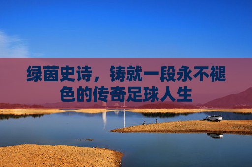 绿茵史诗,铸就一段永不褪色的传奇足球人生