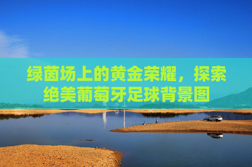 绿茵场上的黄金荣耀，探索绝美葡萄牙足球背景图