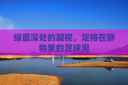 绿茵深处的凝视,定格在静物里的足球男