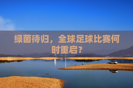 绿茵待归，全球足球比赛何时重启？