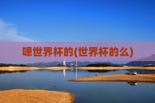 嗯世界杯的(世界杯的么)