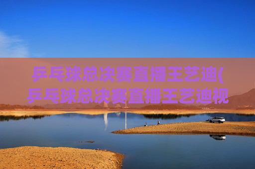 乒乓球总决赛直播王艺迪(乒乓球总决赛直播王艺迪视频)