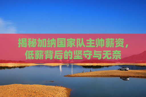 揭秘加纳国家队主帅薪资,低薪背后的坚守与无奈