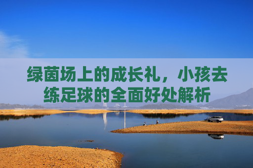 绿茵场上的成长礼，小孩去练足球的全面好处解析