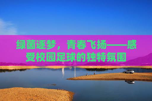 绿茵逐梦,青春飞扬——感受校园足球的独特氛围