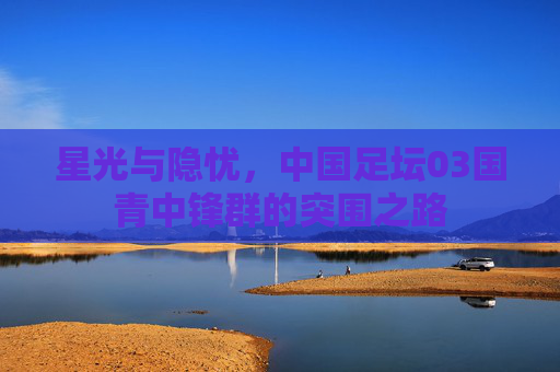 星光与隐忧，中国足坛03国青中锋群的突围之路