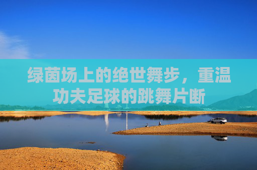 绿茵场上的绝世舞步,重温功夫足球的跳舞片断
