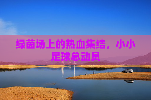 绿茵场上的热血集结,小小足球总动员