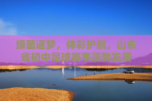 绿茵逐梦，体彩护航，山东省初中足球赛事蓬勃发展