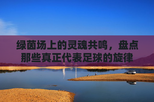绿茵场上的灵魂共鸣，盘点那些真正代表足球的旋律