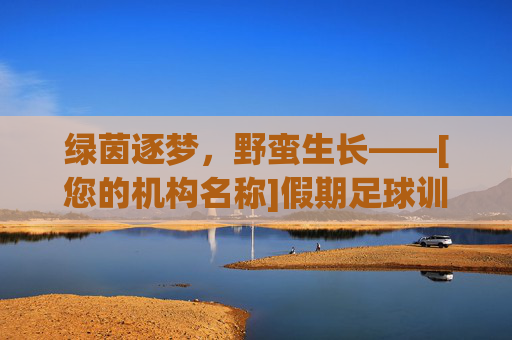 绿茵逐梦，野蛮生长——[您的机构名称]假期足球训练营招募令