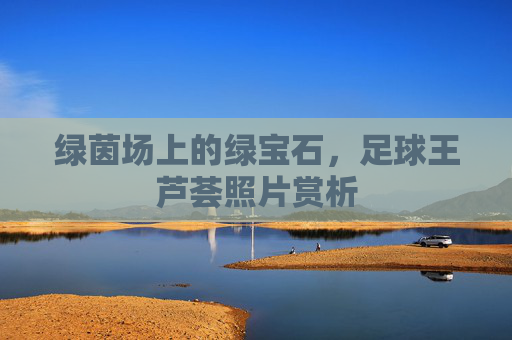 绿茵场上的绿宝石,足球王芦荟照片赏析