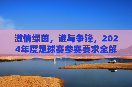 激情绿茵,谁与争锋,2024年度足球赛参赛要求全解析