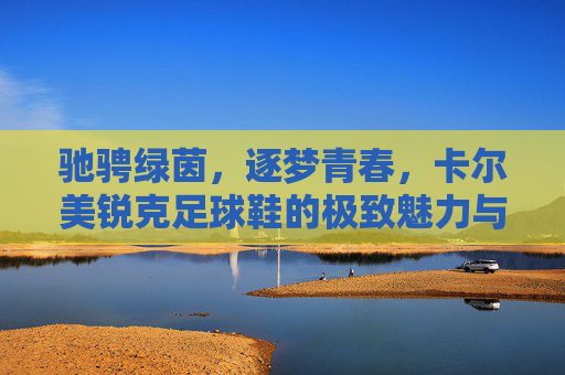 驰骋绿茵，逐梦青春，卡尔美锐克足球鞋的极致魅力与实战体验