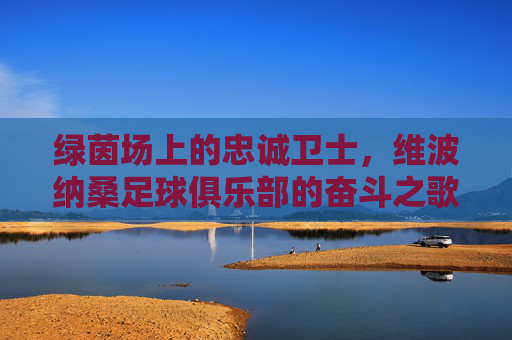 绿茵场上的忠诚卫士,维波纳桑足球俱乐部的奋斗之歌