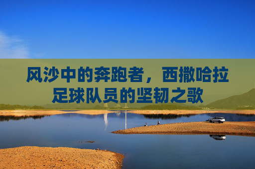 风沙中的奔跑者,西撒哈拉足球队员的坚韧之歌