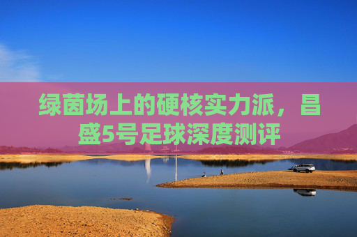 绿茵场上的硬核实力派,昌盛5号足球深度测评