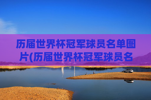 历届世界杯冠军球员名单图片(历届世界杯冠军球员名单图片大全)