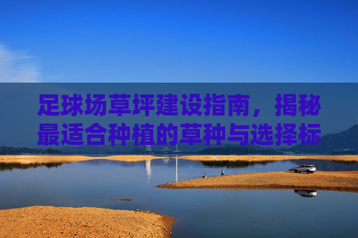 足球场草坪建设指南,揭秘最适合种植的草种与选择标准