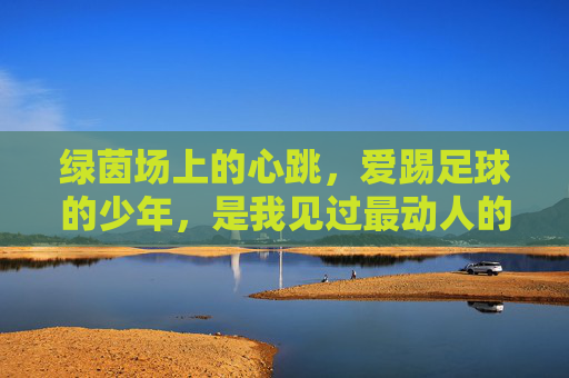绿茵场上的心跳,爱踢足球的少年,是我见过最动人的情书