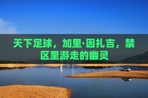 天下足球,加里·因扎吉,禁区里游走的幽灵