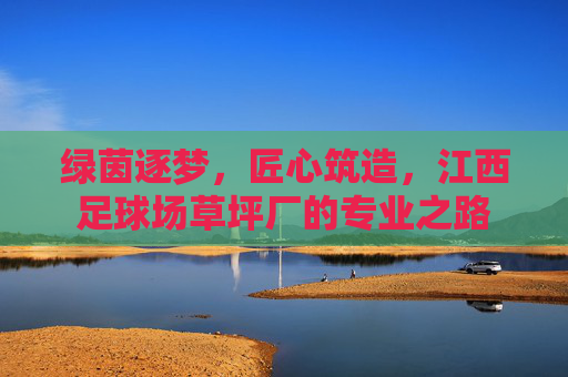 绿茵逐梦,匠心筑造,江西足球场草坪厂的专业之路