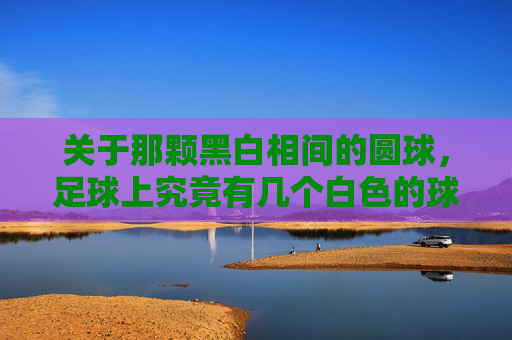 关于那颗黑白相间的圆球,足球上究竟有几个白色的球球?