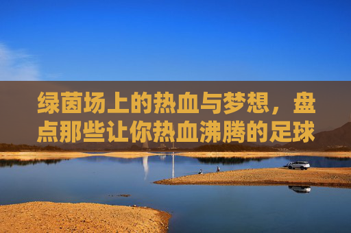 绿茵场上的热血与梦想,盘点那些让你热血沸腾的足球动画片