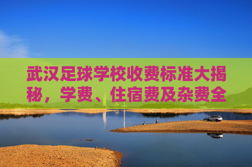 武汉足球学校收费标准大揭秘,学费、住宿费及杂费全解析