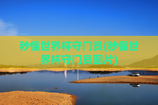 秒懂世界杯守门员(秒懂世界杯守门员图片)