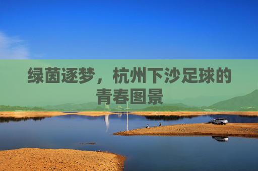 绿茵逐梦，杭州下沙足球的青春图景