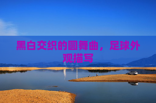 黑白交织的圆舞曲，足球外观描写