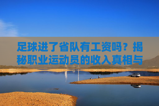 足球进了省队有工资吗？揭秘职业运动员的收入真相与未来