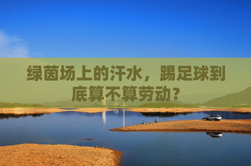 绿茵场上的汗水,踢足球到底算不算劳动?