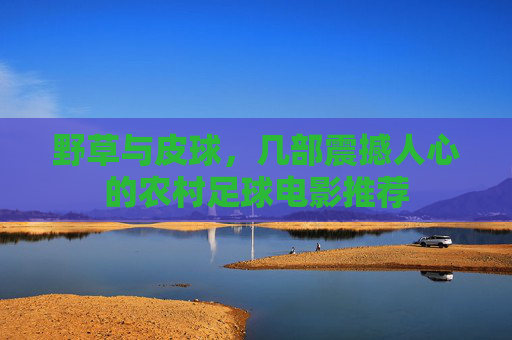野草与皮球，几部震撼人心的农村足球电影推荐